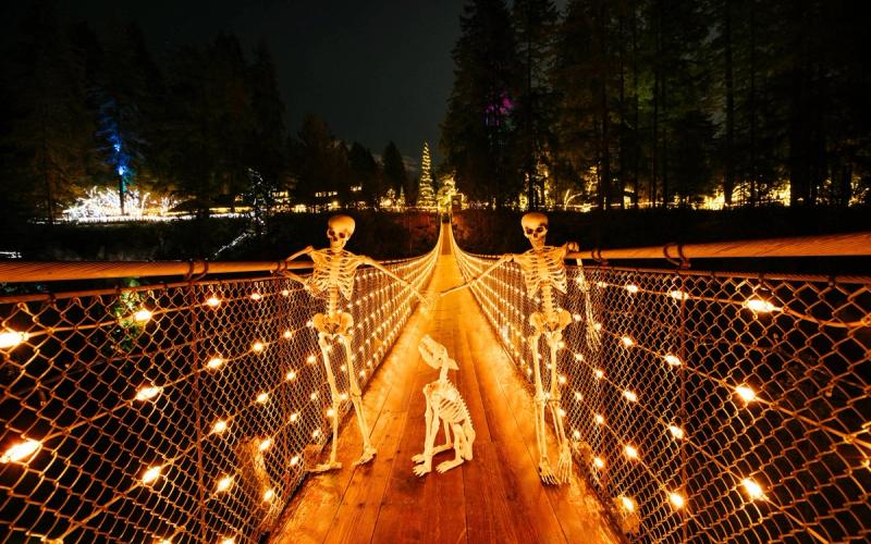 Canyon Frights at Capilano Suspension Bridge Park