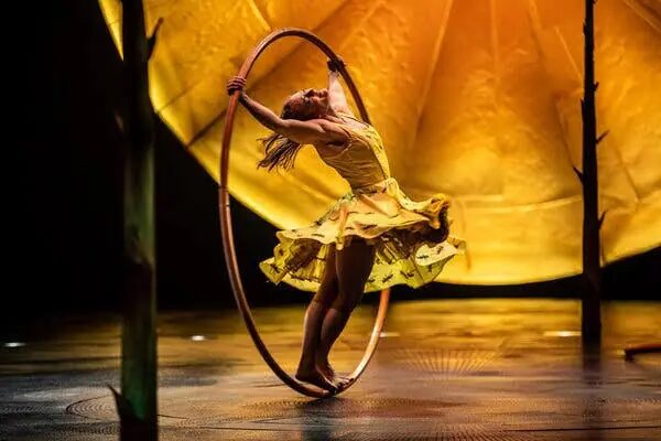 STAY VANCOUVER HOTELS OFFER , Get a Pair of Tickets to Cirque du Soleil’s LUZIA at Pinnacle Hotel Harbourfront, downtown Vancouver